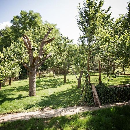 Chalupa U Ježka Morkuvky Bagian luar foto